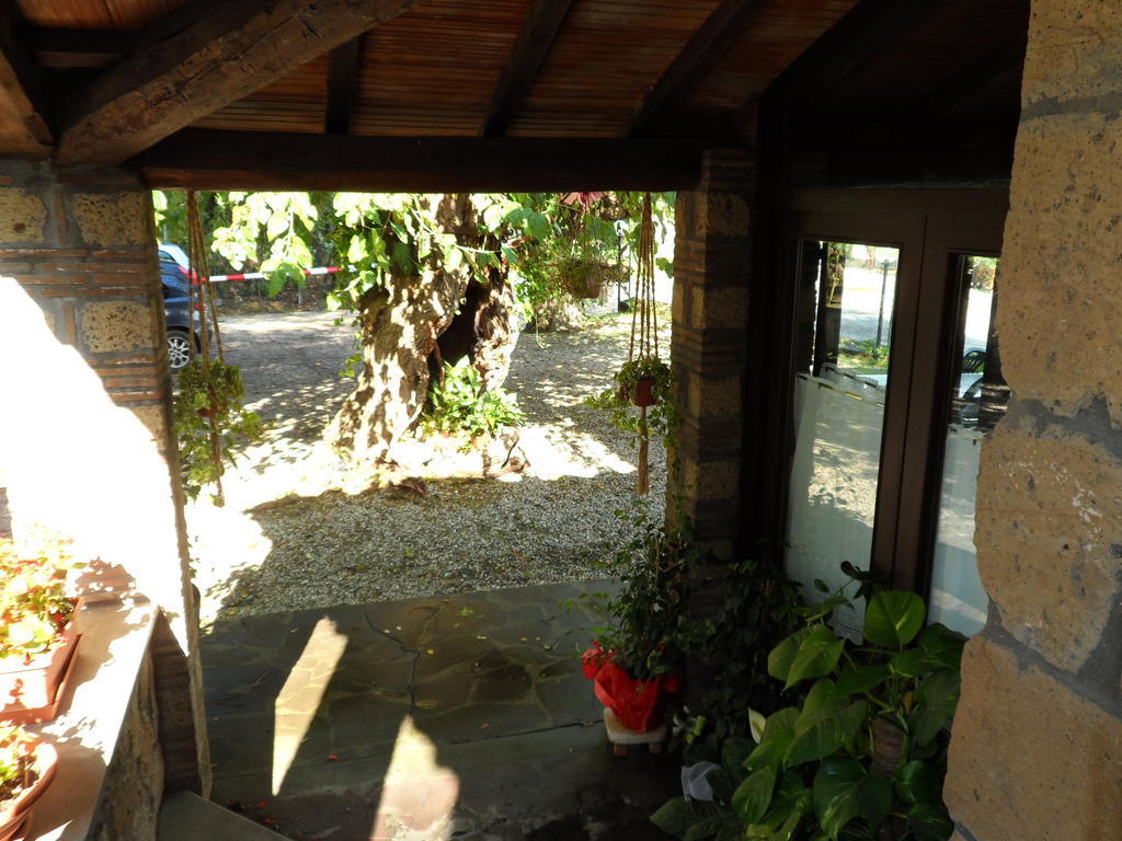 Hotel Mola Solis Civitella dʼAgliano Exterior foto