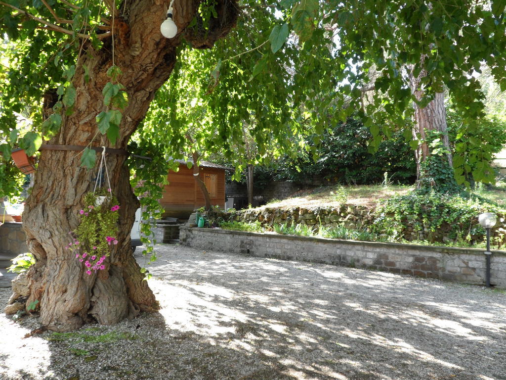 Hotel Mola Solis Civitella dʼAgliano Exterior foto